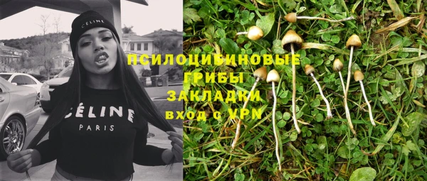 мет Няндома