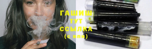 мет Няндома