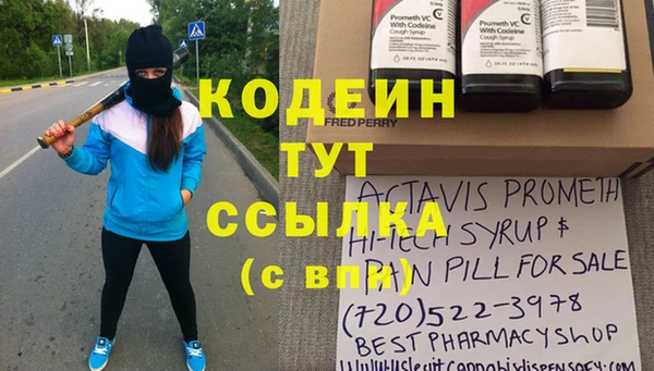 мет Няндома