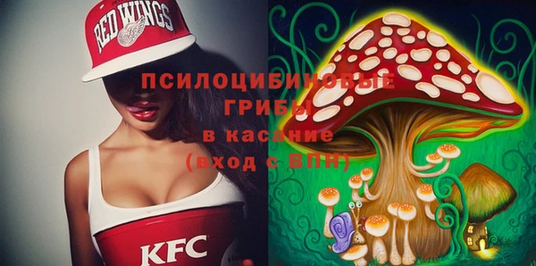 мет Няндома