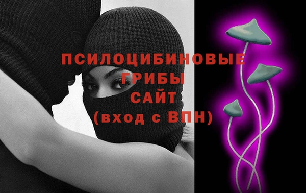 Альфа ПВП Нягань
