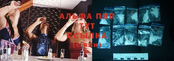 мет Няндома