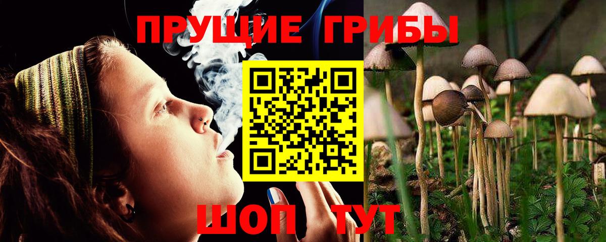 Псилоцибиновые грибы Magic Shrooms Полысаево