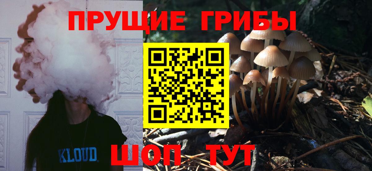 Полысаево  Псилоцибиновые грибы Cubensis  Галлюциногенные грибы Magic Shrooms  Вход с VPN 