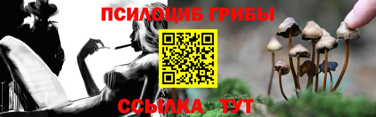 Псилоцибиновые грибы прущие грибы Полысаево
